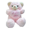 24 pink teddy w/pilow